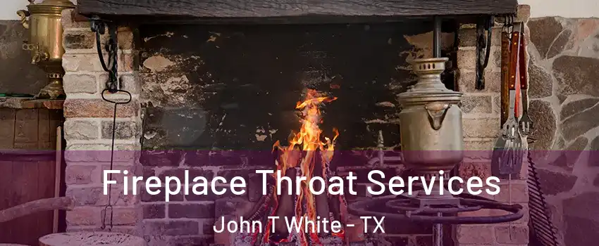 Fireplace Throat Services John T White - TX