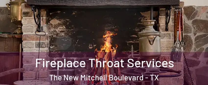 Fireplace Throat Services The New Mitchell Boulevard - TX