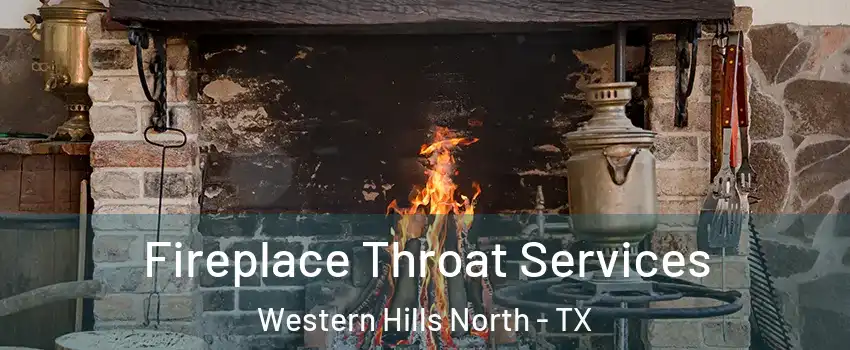 Fireplace Throat Services Western Hills North - TX