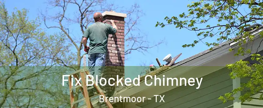 Fix Blocked Chimney Brentmoor - TX