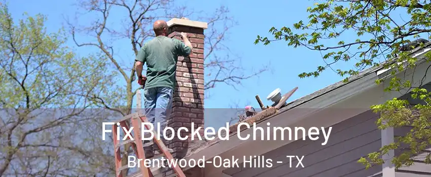 Fix Blocked Chimney Brentwood-Oak Hills - TX