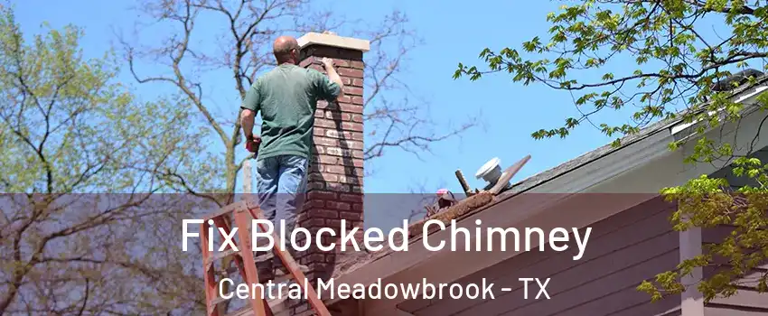 Fix Blocked Chimney Central Meadowbrook - TX