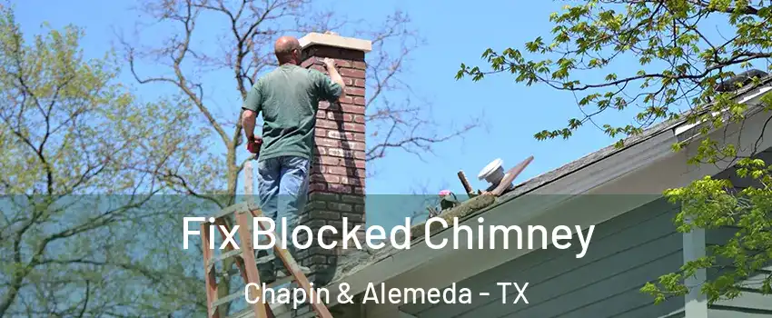 Fix Blocked Chimney Chapin & Alemeda - TX