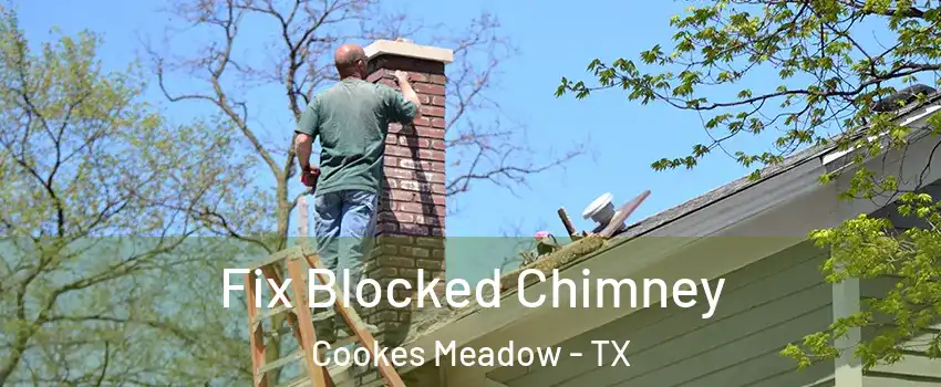 Fix Blocked Chimney Cookes Meadow - TX