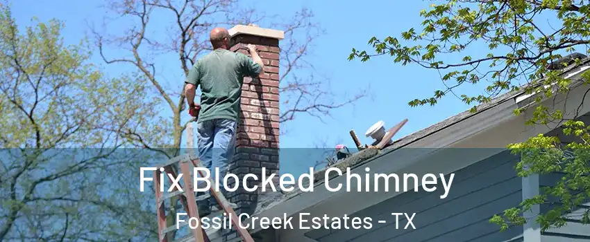 Fix Blocked Chimney Fossil Creek Estates - TX