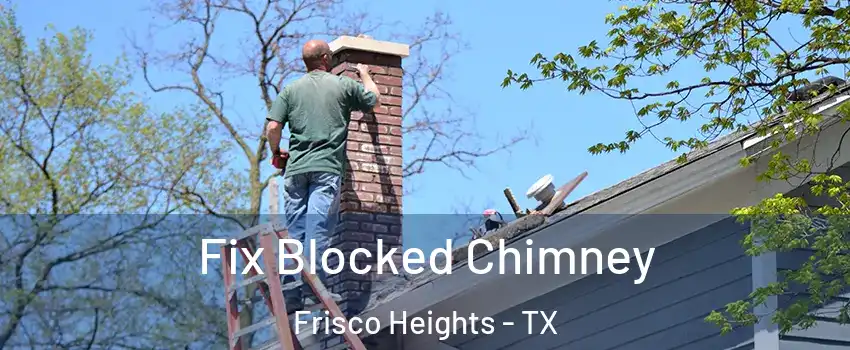 Fix Blocked Chimney Frisco Heights - TX