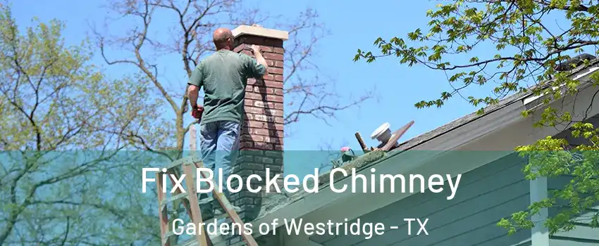 Fix Blocked Chimney Gardens of Westridge - TX