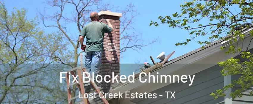 Fix Blocked Chimney Lost Creek Estates - TX