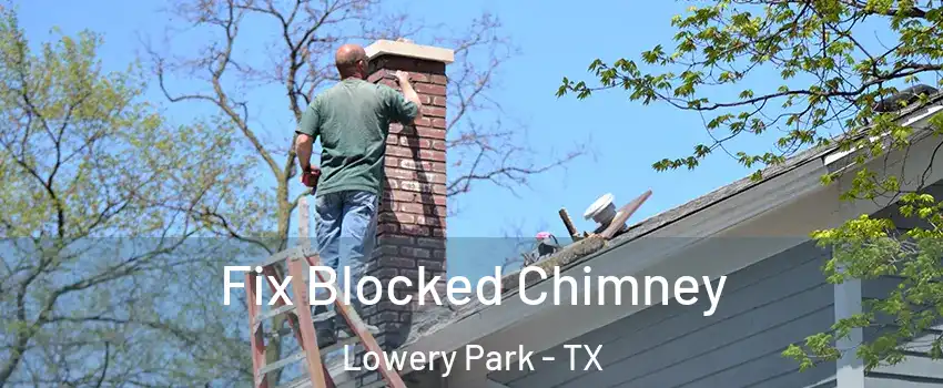 Fix Blocked Chimney Lowery Park - TX