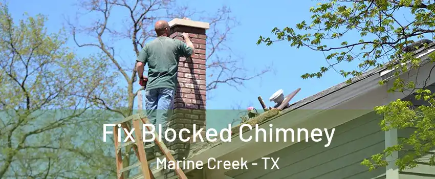 Fix Blocked Chimney Marine Creek - TX