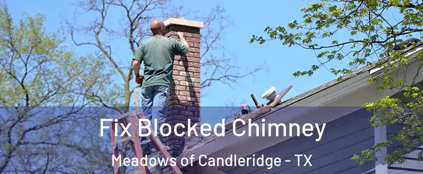Fix Blocked Chimney Meadows of Candleridge - TX