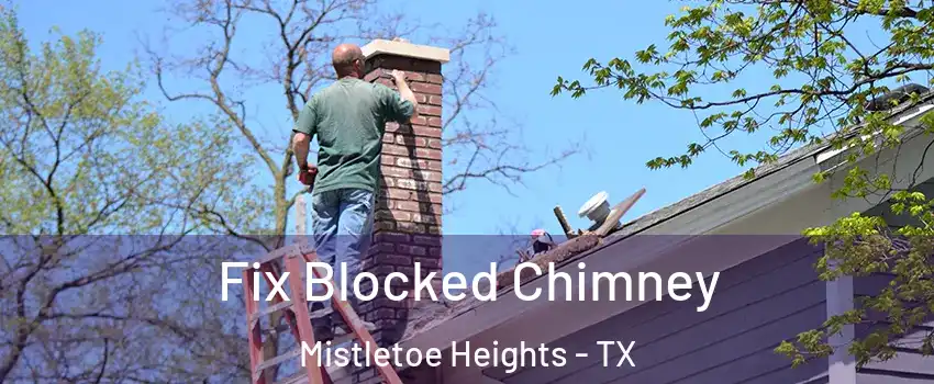 Fix Blocked Chimney Mistletoe Heights - TX