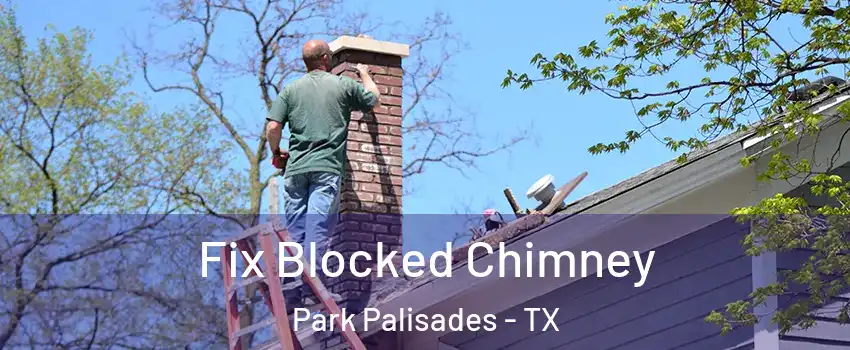 Fix Blocked Chimney Park Palisades - TX