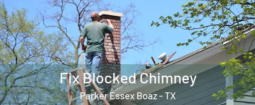 Fix Blocked Chimney Parker Essex Boaz - TX