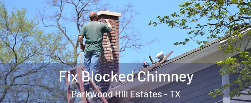 Fix Blocked Chimney Parkwood Hill Estates - TX