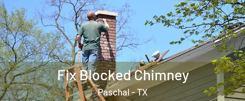Fix Blocked Chimney Paschal - TX