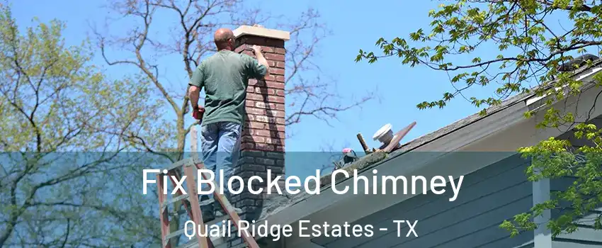 Fix Blocked Chimney Quail Ridge Estates - TX
