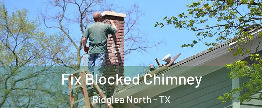 Fix Blocked Chimney Ridglea North - TX