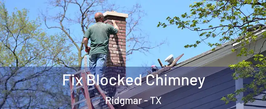 Fix Blocked Chimney Ridgmar - TX