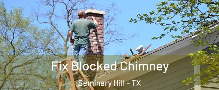 Fix Blocked Chimney Seminary Hill - TX