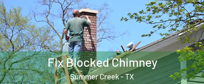 Fix Blocked Chimney Summer Creek - TX