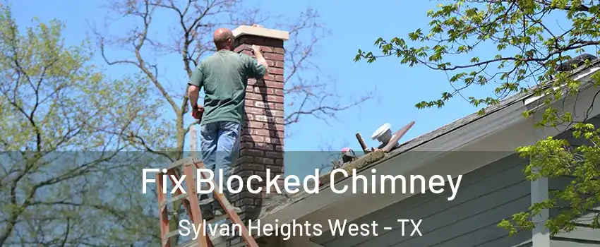Fix Blocked Chimney Sylvan Heights West - TX