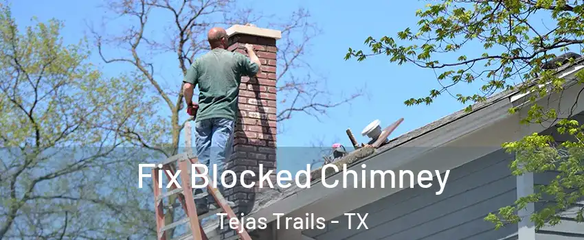 Fix Blocked Chimney Tejas Trails - TX