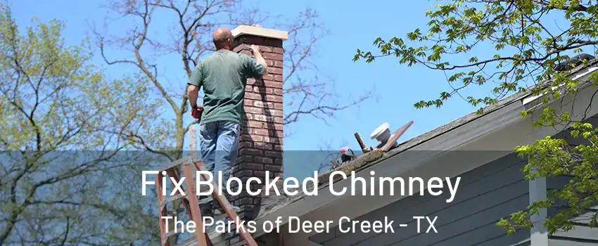Fix Blocked Chimney The Parks of Deer Creek - TX