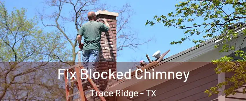 Fix Blocked Chimney Trace Ridge - TX
