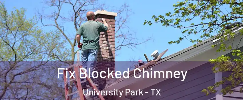 Fix Blocked Chimney University Park - TX