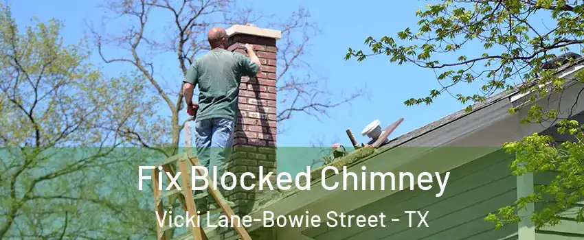 Fix Blocked Chimney Vicki Lane-Bowie Street - TX