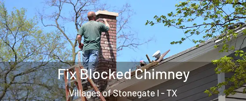 Fix Blocked Chimney Villages of Stonegate I - TX