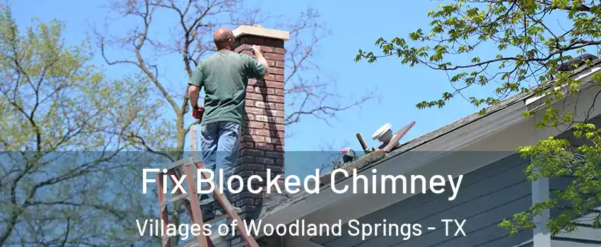 Fix Blocked Chimney Villages of Woodland Springs - TX