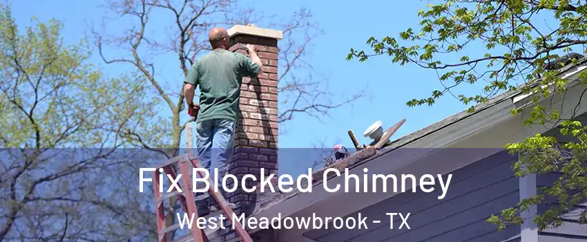 Fix Blocked Chimney West Meadowbrook - TX