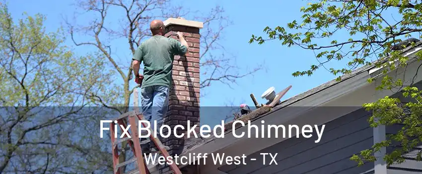 Fix Blocked Chimney Westcliff West - TX