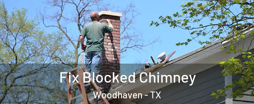 Fix Blocked Chimney Woodhaven - TX