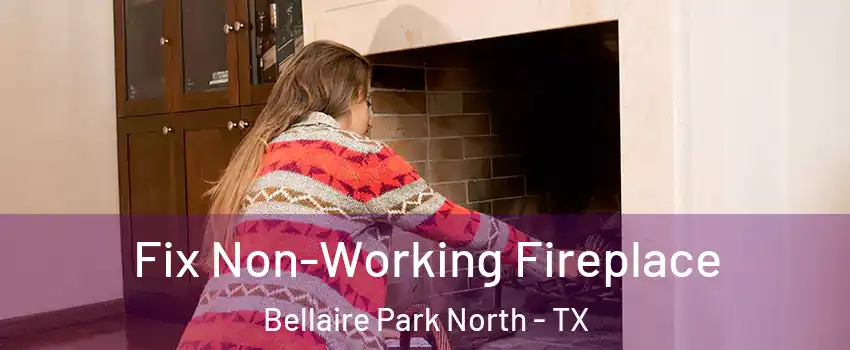 Fix Non-Working Fireplace Bellaire Park North - TX