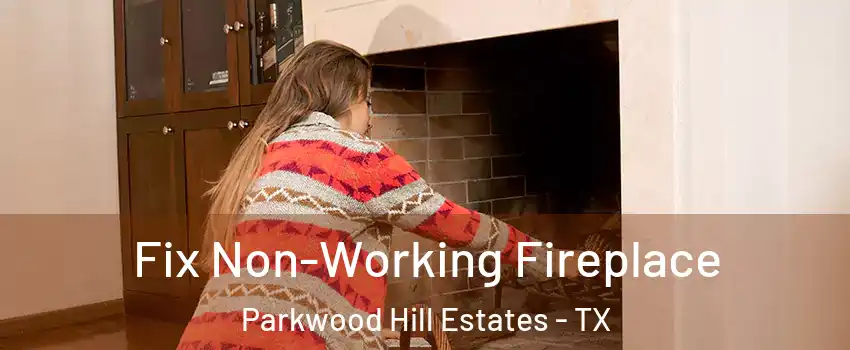 Fix Non-Working Fireplace Parkwood Hill Estates - TX
