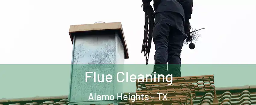 Flue Cleaning Alamo Heights - TX