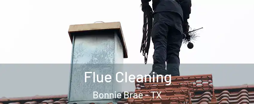 Flue Cleaning Bonnie Brae - TX