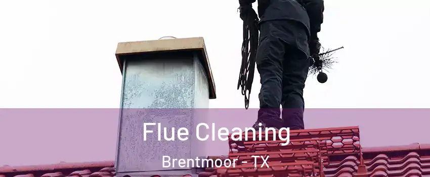 Flue Cleaning Brentmoor - TX