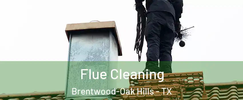 Flue Cleaning Brentwood-Oak Hills - TX