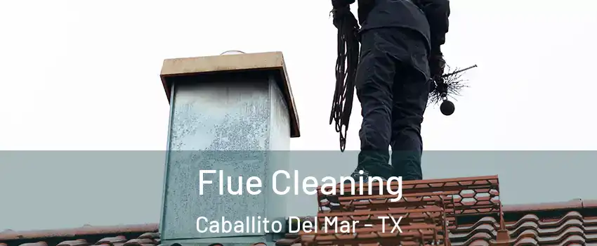 Flue Cleaning Caballito Del Mar - TX
