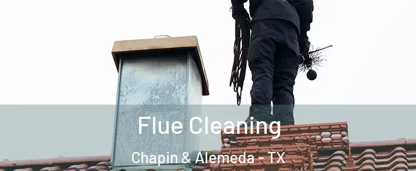Flue Cleaning Chapin & Alemeda - TX