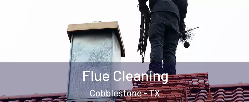 Flue Cleaning Cobblestone - TX