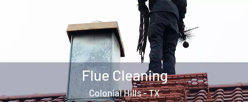 Flue Cleaning Colonial Hills - TX