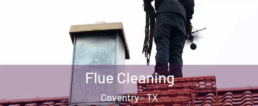 Flue Cleaning Coventry - TX