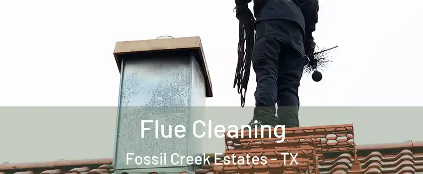Flue Cleaning Fossil Creek Estates - TX