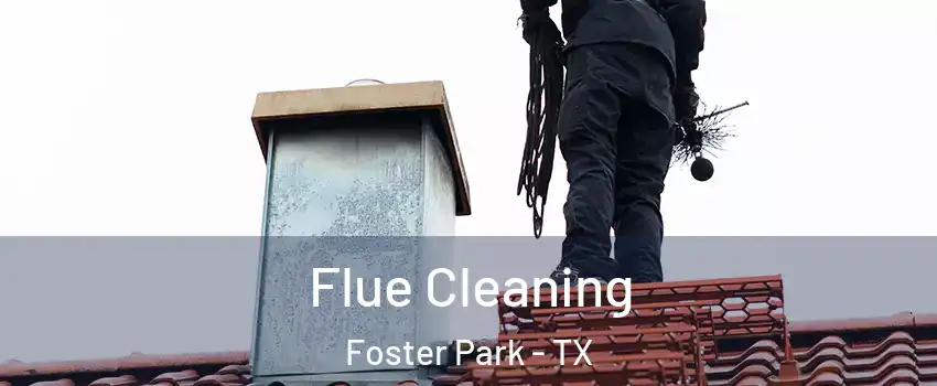 Flue Cleaning Foster Park - TX