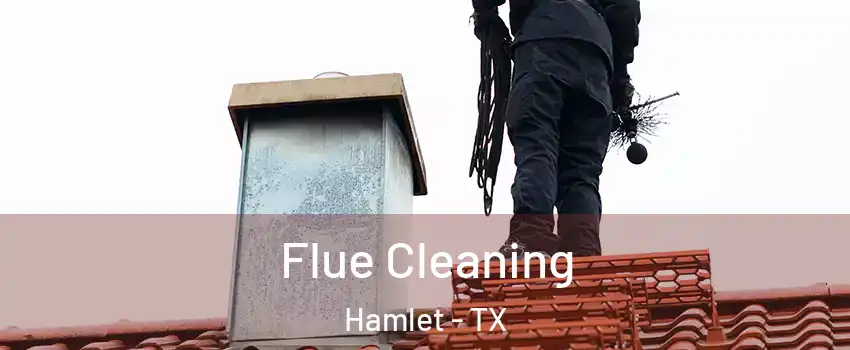 Flue Cleaning Hamlet - TX